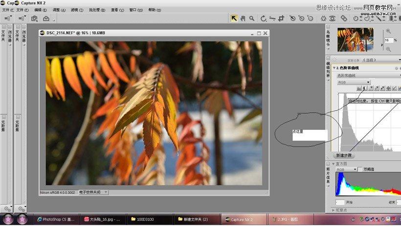 Photoshop调出秋季摄影图片通透色调