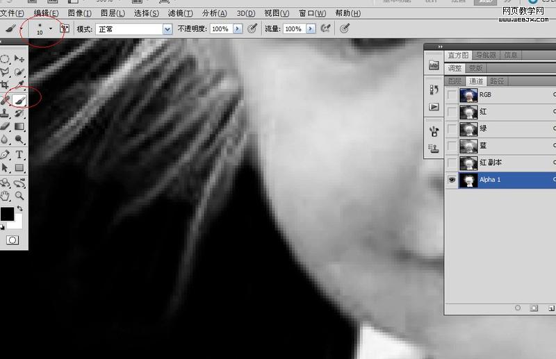 Photoshop抠图教程:儿童头发抠图教程_webjx.com
