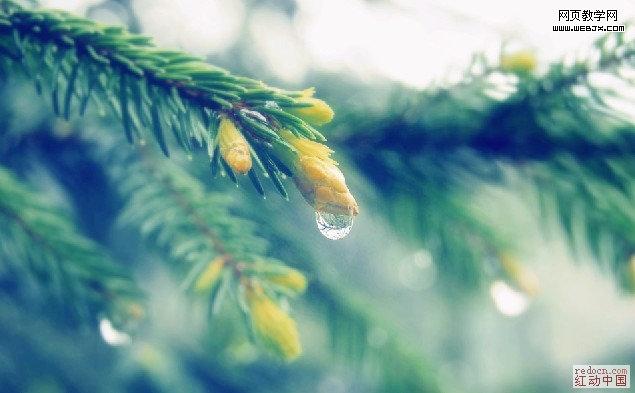 Photoshop风景图处理教程:阳光照射下的雨珠_webjx.com
