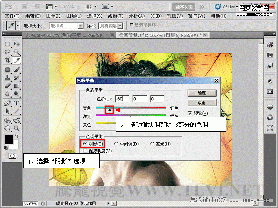 PS入门教程:色彩平衡命令调整图片色彩_webjx.com