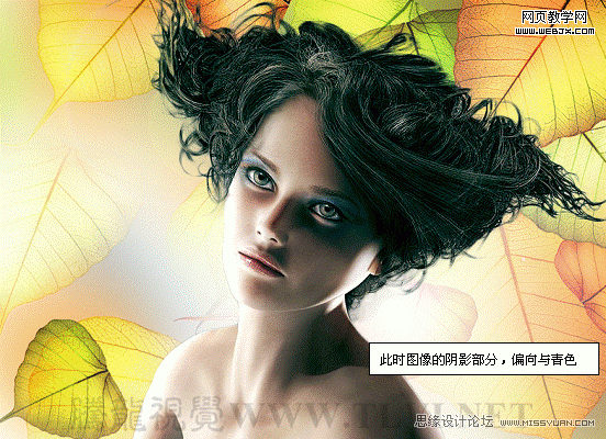 PS入门教程:色彩平衡命令调整图片色彩_webjx.com