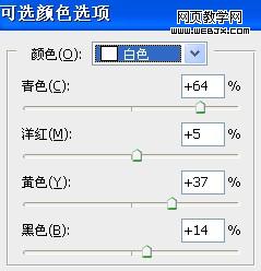 Photoshop个性相片调色:漂亮的电影镜头风格图_webjx.com