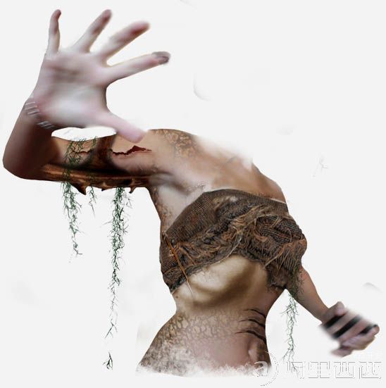 aiyiweb图文教程,aiyiweb.com