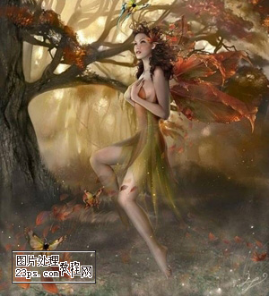 aiyiweb图文教程,aiyiweb.com