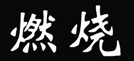 输入文本